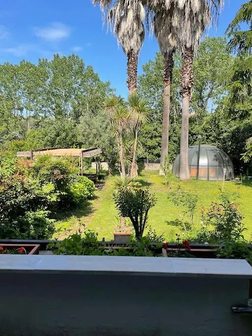 La Dolce Vita - A Tropical Garden In Ρώμη Ιταλία