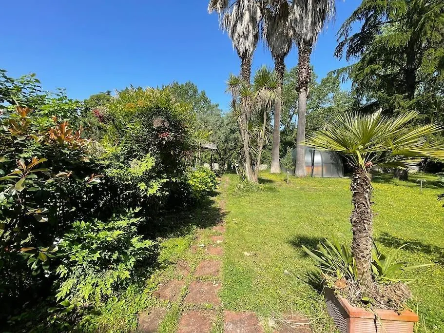 La Dolce Vita - A Tropical Garden In Rome Italy