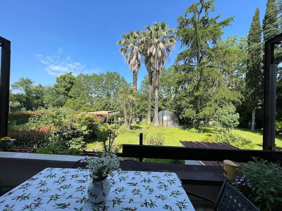 La Dolce Vita - A Tropical Garden In Rome Villa