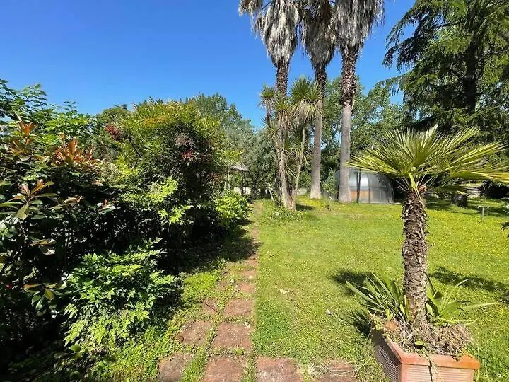 La Dolce Vita - A Tropical Garden In Rome 0*,